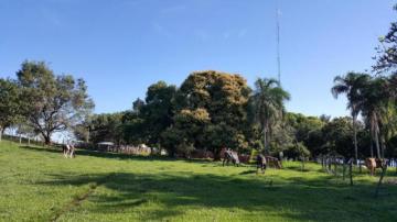 Comprar Rural / S&iacute;tio em Parana&iacute;ba R$ 13.000.000,00 - Foto 3