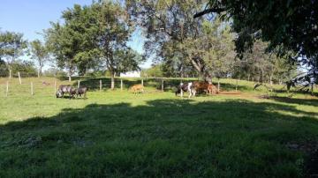 Comprar Rural / S&iacute;tio em Parana&iacute;ba R$ 13.000.000,00 - Foto 5