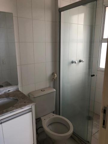 Alugar Apartamento / Padr&atilde;o em S&atilde;o Jos&eacute; do Rio Preto R$ 1.500,00 - Foto 6