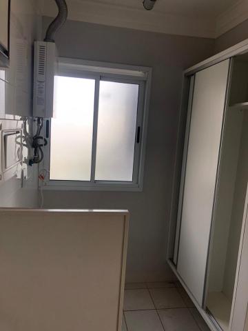 Alugar Apartamento / Padr&atilde;o em S&atilde;o Jos&eacute; do Rio Preto R$ 1.500,00 - Foto 8