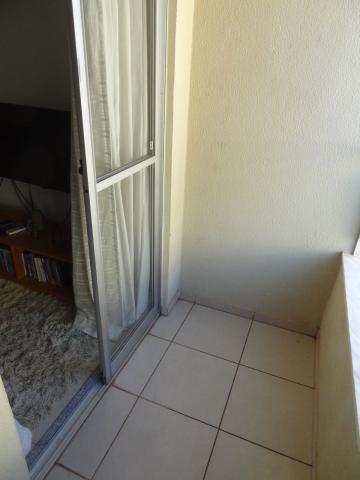 Alugar Apartamento / Padr&atilde;o em S&atilde;o Jos&eacute; do Rio Preto R$ 1.700,00 - Foto 13