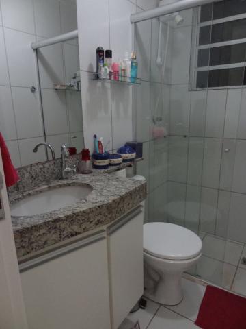 Alugar Apartamento / Padr&atilde;o em S&atilde;o Jos&eacute; do Rio Preto R$ 1.700,00 - Foto 9