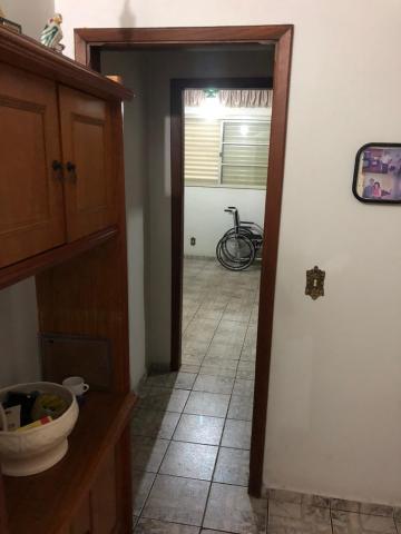 Alugar Apartamento / Padr&atilde;o em S&atilde;o Jos&eacute; do Rio Preto R$ 1.500,00 - Foto 14