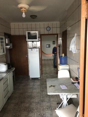 Alugar Apartamento / Padr&atilde;o em S&atilde;o Jos&eacute; do Rio Preto R$ 1.500,00 - Foto 7
