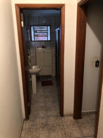 Alugar Apartamento / Padr&atilde;o em S&atilde;o Jos&eacute; do Rio Preto R$ 1.500,00 - Foto 12