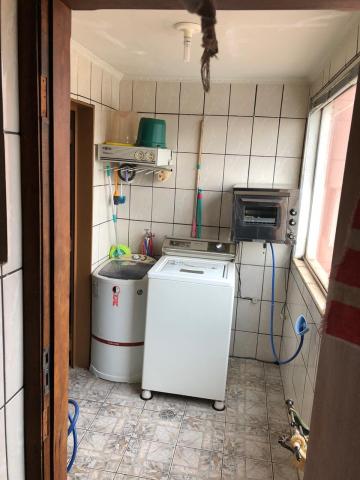 Alugar Apartamento / Padr&atilde;o em S&atilde;o Jos&eacute; do Rio Preto R$ 1.500,00 - Foto 4