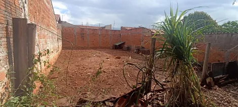 Terreno / Padr&atilde;o em S&atilde;o Jos&eacute; do Rio Preto 