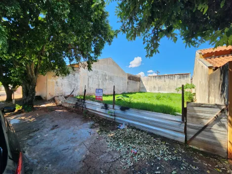 Terreno / Padr&atilde;o em S&atilde;o Jos&eacute; do Rio Preto 