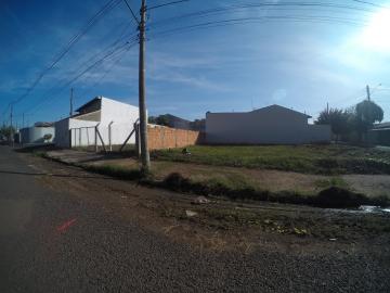 Alugar Terreno / Padr&atilde;o em S&atilde;o Jos&eacute; do Rio Preto. apenas R$ 200.000,00