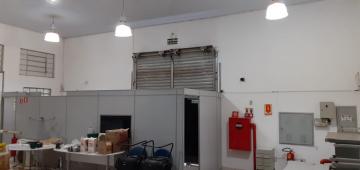 Comercial / Sal&atilde;o em S&atilde;o Jos&eacute; do Rio Preto 