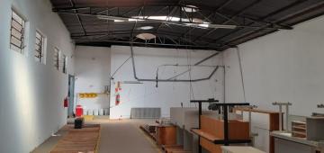 Alugar Comercial / Sal&atilde;o em S&atilde;o Jos&eacute; do Rio Preto R$ 11.000,00 - Foto 3