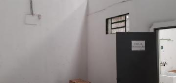 Alugar Comercial / Sal&atilde;o em S&atilde;o Jos&eacute; do Rio Preto R$ 11.000,00 - Foto 11