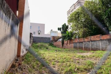 Comprar Terreno / Padr&atilde;o em S&atilde;o Jos&eacute; do Rio Preto R$ 700.000,00 - Foto 2