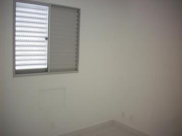 Alugar Apartamento / Padr&atilde;o em S&atilde;o Jos&eacute; do Rio Preto R$ 800,00 - Foto 6