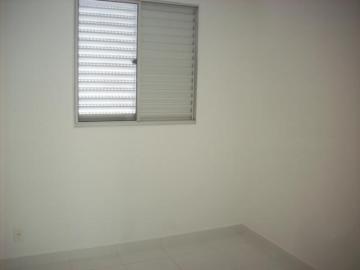 Alugar Apartamento / Padr&atilde;o em S&atilde;o Jos&eacute; do Rio Preto R$ 800,00 - Foto 7