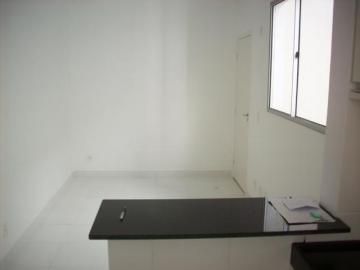Alugar Apartamento / Padr&atilde;o em S&atilde;o Jos&eacute; do Rio Preto. apenas R$ 800,00