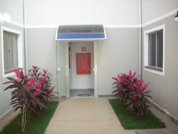 Alugar Apartamento / Padr&atilde;o em S&atilde;o Jos&eacute; do Rio Preto R$ 800,00 - Foto 8