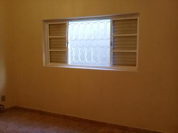 Alugar Casa / Padr&atilde;o em S&atilde;o Jos&eacute; do Rio Preto R$ 2.200,00 - Foto 4