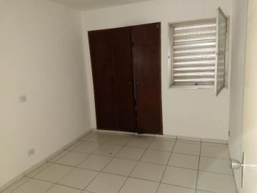 Alugar Apartamento / Padr&atilde;o em S&atilde;o Jos&eacute; do Rio Preto R$ 800,00 - Foto 5