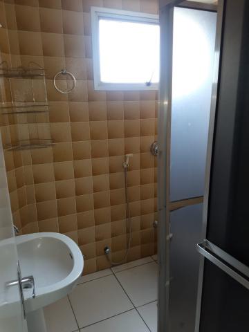 Alugar Apartamento / Padr&atilde;o em S&atilde;o Jos&eacute; do Rio Preto R$ 800,00 - Foto 7