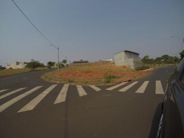 Comprar Terreno / Padr&atilde;o em S&atilde;o Jos&eacute; do Rio Preto R$ 200.000,00 - Foto 2