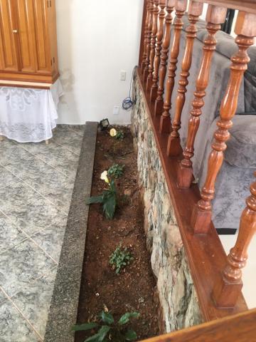 Alugar Casa / Padr&atilde;o em S&atilde;o Jos&eacute; do Rio Preto R$ 4.000,00 - Foto 7