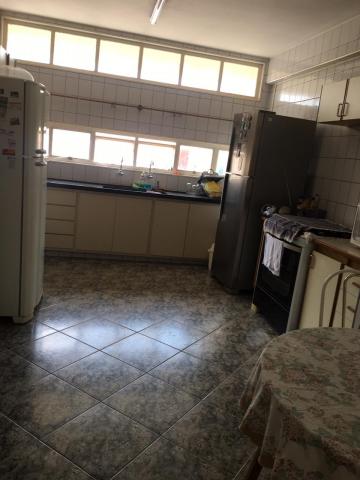 Alugar Casa / Padr&atilde;o em S&atilde;o Jos&eacute; do Rio Preto R$ 4.000,00 - Foto 12