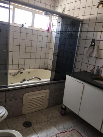 Alugar Casa / Padr&atilde;o em S&atilde;o Jos&eacute; do Rio Preto R$ 4.000,00 - Foto 14