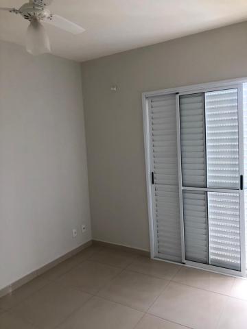 Alugar Casa / Condom&iacute;nio em S&atilde;o Jos&eacute; do Rio Preto R$ 3.000,00 - Foto 15