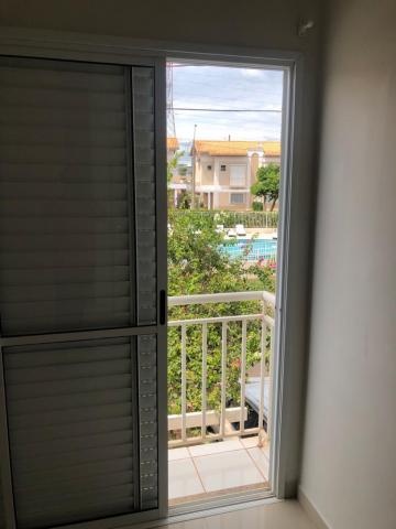 Alugar Casa / Condom&iacute;nio em S&atilde;o Jos&eacute; do Rio Preto R$ 3.000,00 - Foto 17