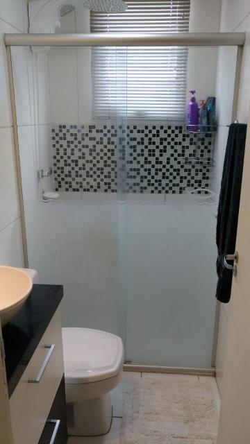Alugar Apartamento / Padr&atilde;o em S&atilde;o Jos&eacute; do Rio Preto R$ 1.000,00 - Foto 13