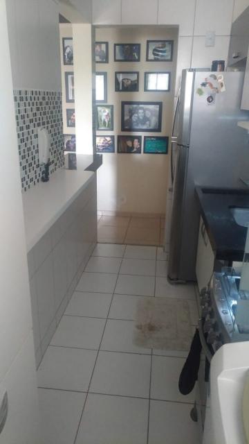 Alugar Apartamento / Padr&atilde;o em S&atilde;o Jos&eacute; do Rio Preto R$ 1.000,00 - Foto 3