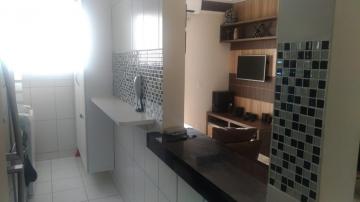 Alugar Apartamento / Padr&atilde;o em S&atilde;o Jos&eacute; do Rio Preto R$ 1.000,00 - Foto 2