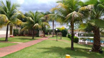 Alugar Apartamento / Padr&atilde;o em S&atilde;o Jos&eacute; do Rio Preto R$ 1.000,00 - Foto 15