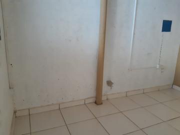 Alugar Comercial / Sal&atilde;o em S&atilde;o Jos&eacute; do Rio Preto R$ 1.300,00 - Foto 7