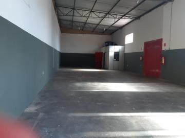 Alugar Comercial / Sal&atilde;o em S&atilde;o Jos&eacute; do Rio Preto R$ 1.300,00 - Foto 2