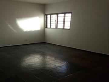 Alugar Apartamento / Padr&atilde;o em S&atilde;o Jos&eacute; do Rio Preto R$ 1.100,00 - Foto 2