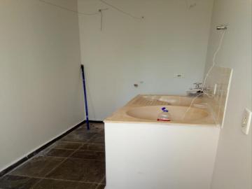Alugar Apartamento / Padr&atilde;o em S&atilde;o Jos&eacute; do Rio Preto R$ 1.100,00 - Foto 12