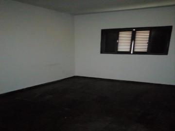 Alugar Apartamento / Padr&atilde;o em S&atilde;o Jos&eacute; do Rio Preto R$ 1.100,00 - Foto 5