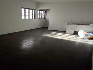 Alugar Apartamento / Padr&atilde;o em S&atilde;o Jos&eacute; do Rio Preto. apenas R$ 1.100,00
