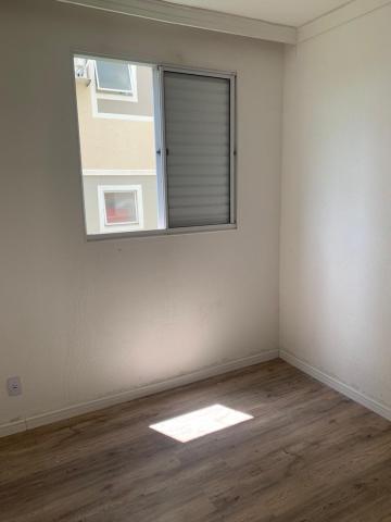 Alugar Apartamento / Padr&atilde;o em S&atilde;o Jos&eacute; do Rio Preto R$ 950,00 - Foto 7
