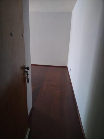 Alugar Apartamento / Padr&atilde;o em S&atilde;o Jos&eacute; do Rio Preto R$ 800,00 - Foto 3