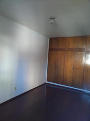 Alugar Apartamento / Padr&atilde;o em S&atilde;o Jos&eacute; do Rio Preto R$ 800,00 - Foto 4