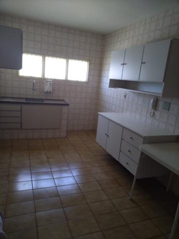 Alugar Apartamento / Padr&atilde;o em S&atilde;o Jos&eacute; do Rio Preto R$ 800,00 - Foto 6