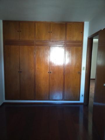 Alugar Apartamento / Padr&atilde;o em S&atilde;o Jos&eacute; do Rio Preto R$ 800,00 - Foto 10