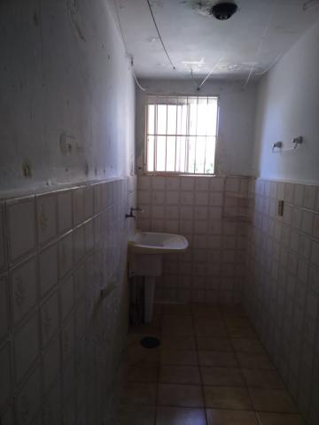 Alugar Apartamento / Padr&atilde;o em S&atilde;o Jos&eacute; do Rio Preto R$ 800,00 - Foto 12