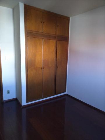 Alugar Apartamento / Padr&atilde;o em S&atilde;o Jos&eacute; do Rio Preto R$ 800,00 - Foto 11
