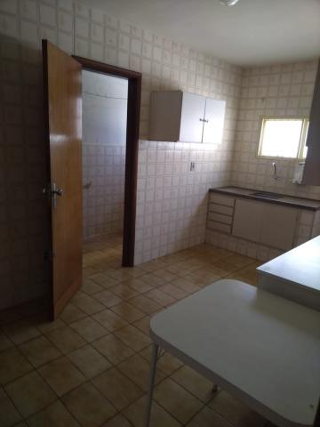 Alugar Apartamento / Padr&atilde;o em S&atilde;o Jos&eacute; do Rio Preto R$ 800,00 - Foto 15