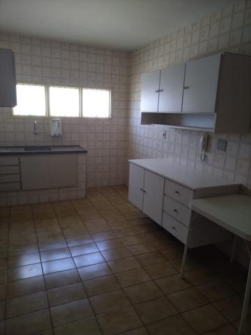 Alugar Apartamento / Padr&atilde;o em S&atilde;o Jos&eacute; do Rio Preto R$ 800,00 - Foto 17