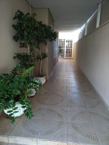 Alugar Apartamento / Padr&atilde;o em S&atilde;o Jos&eacute; do Rio Preto R$ 800,00 - Foto 19